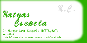 matyas csepela business card